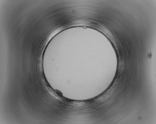 X0000097921242200804111131