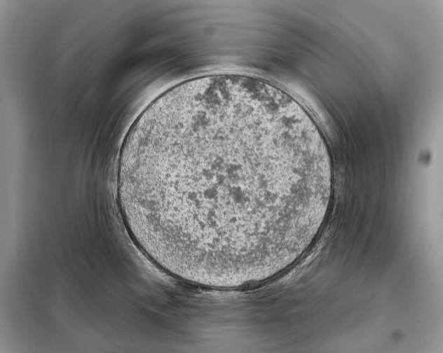 X0000097921244200804111131