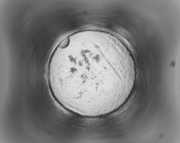 X0000097921247200804111131