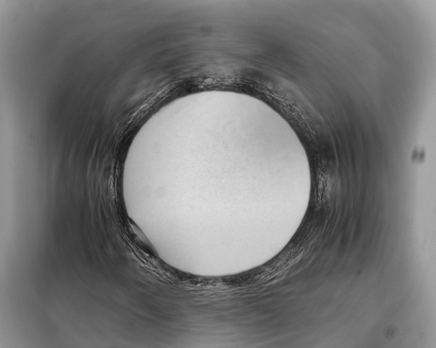 X0000097921250200804111130