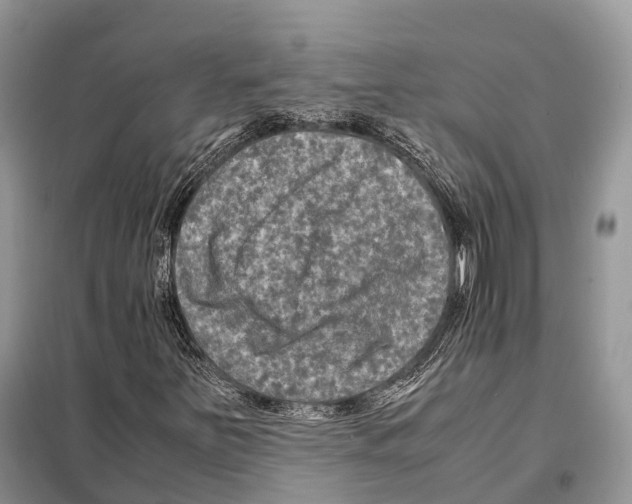 X0000097921251200804111130