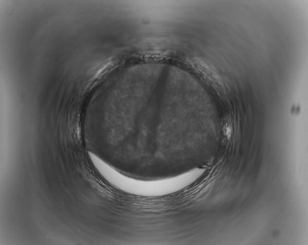 X0000097921252200804111130