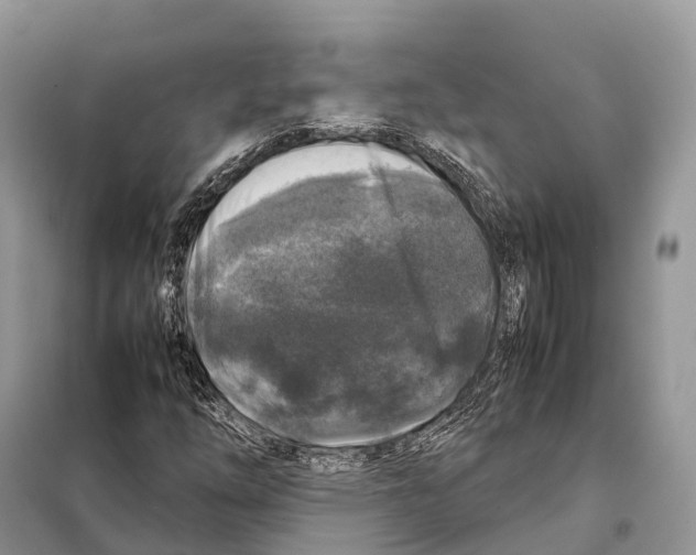 X0000097921254200804111130