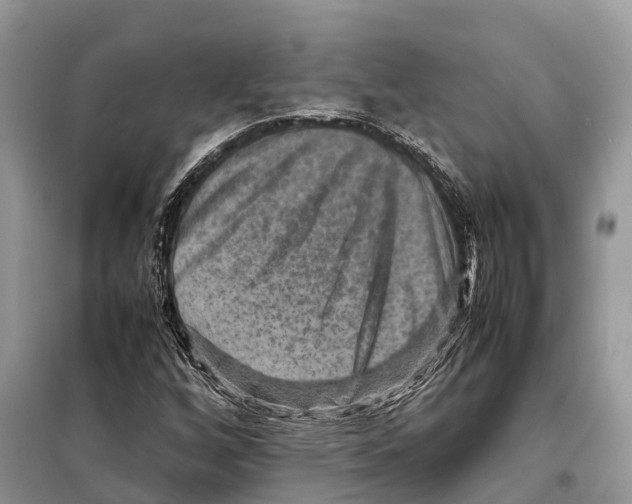 X0000097921256200804111130