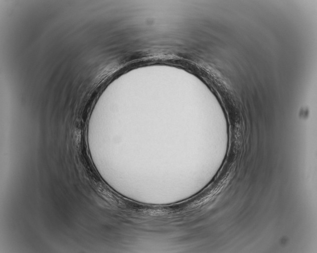 X0000097921257200804111130