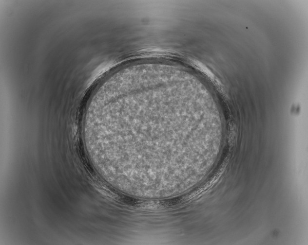 X0000097921259200804111130