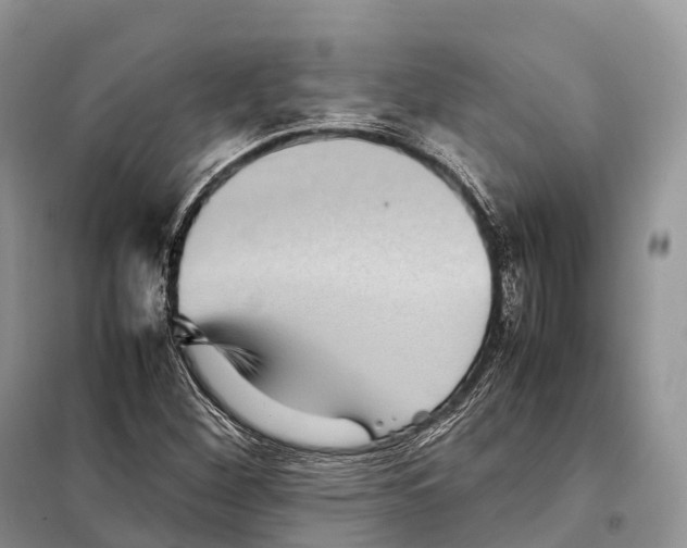 X0000097921260200804111130