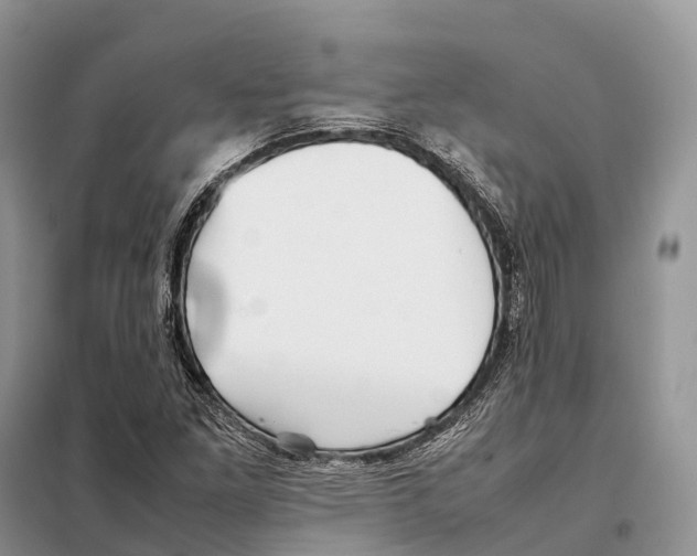 X0000097921261200804111130