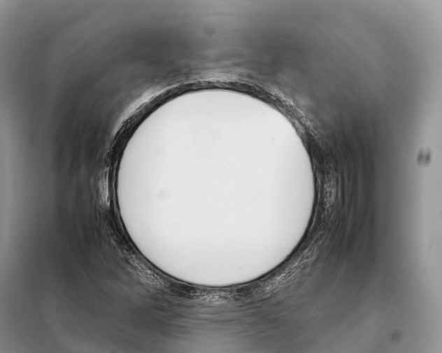 X0000097921262200804111130