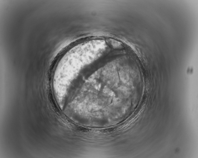 X0000097921263200804111130