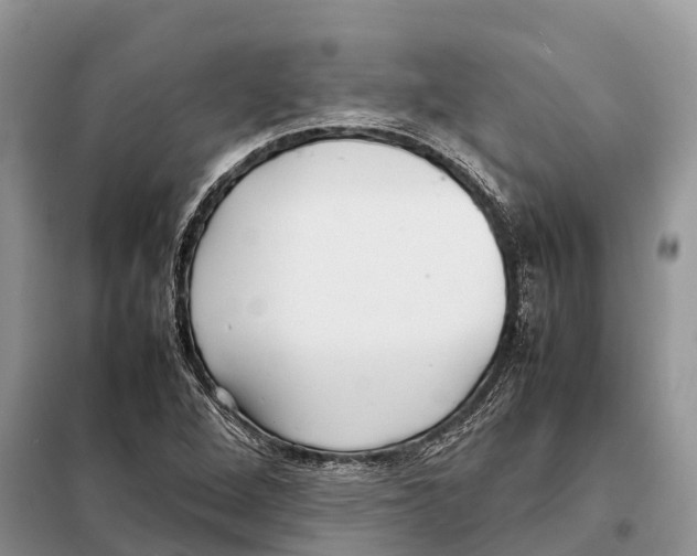 X0000097921264200804111130