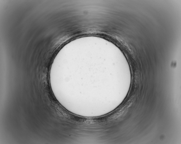 X0000097921265200804111130