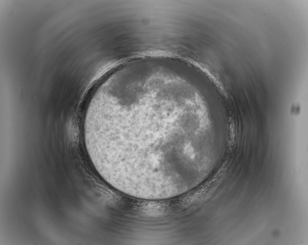 X0000097921266200804111130