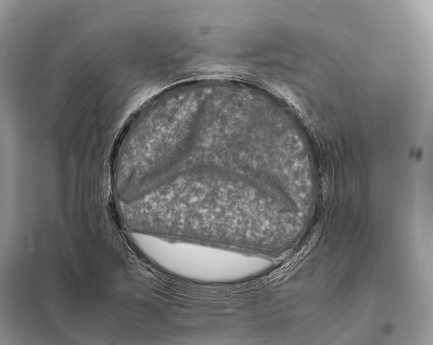 X0000097921267200804111130