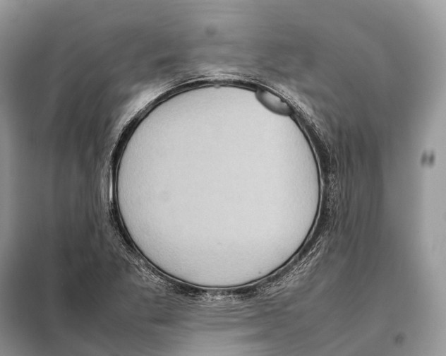 X0000097921269200804111130