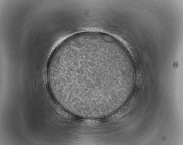 X0000097921271200804111130