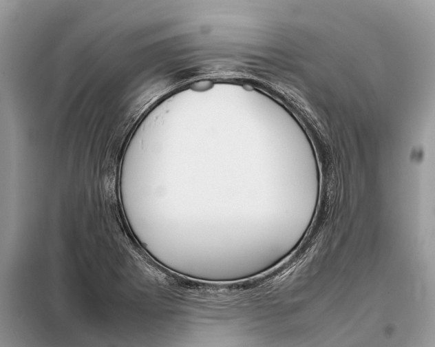 X0000097921273200804111130