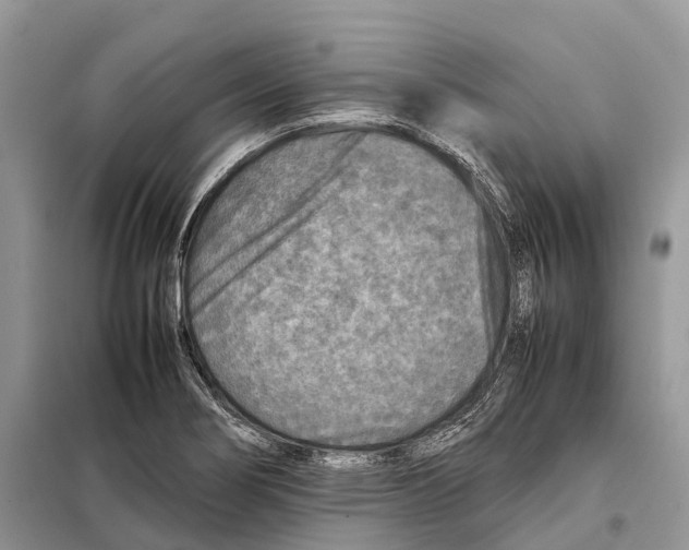 X0000097921274200804111130