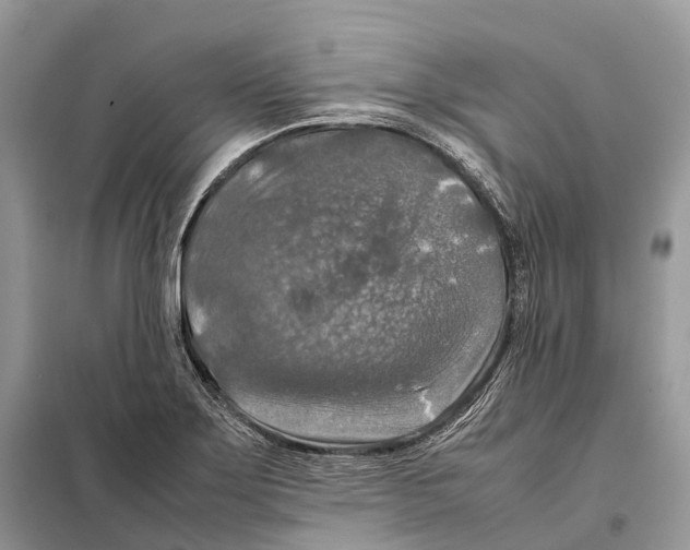 X0000097921275200804111130