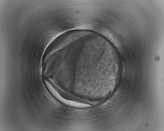 X0000097921276200804111130