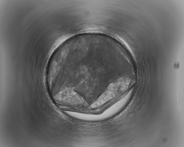 X0000097921277200804111130