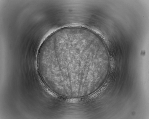 X0000097921278200804111130