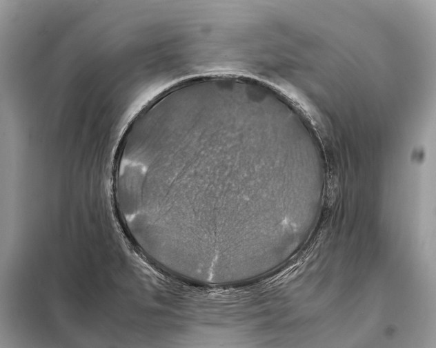 X0000097921279200804111130