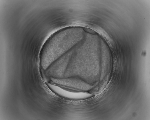 X0000097921280200804111130