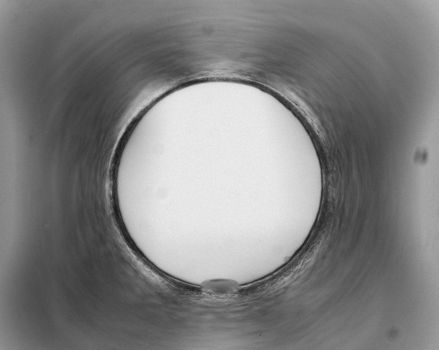 X0000097921285200804111130