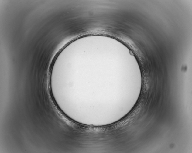 X0000097921286200804111130