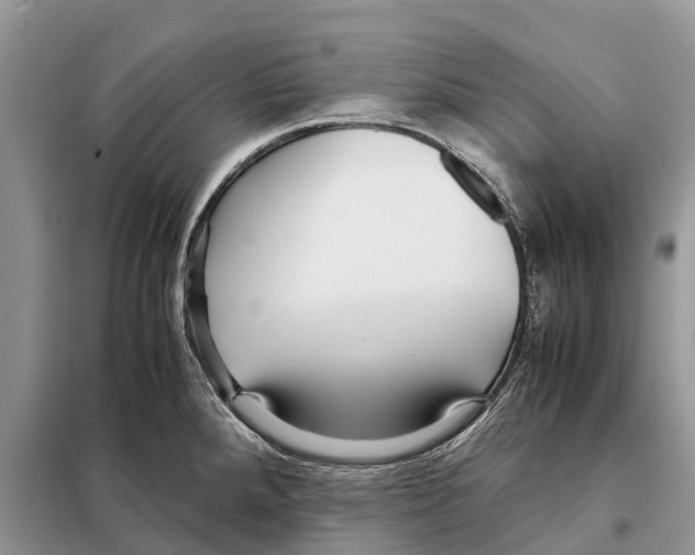 X0000097921288200804111130