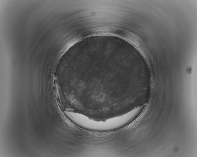 X0000097921289200804111130