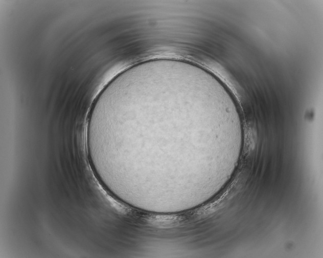 X0000097921290200804111130