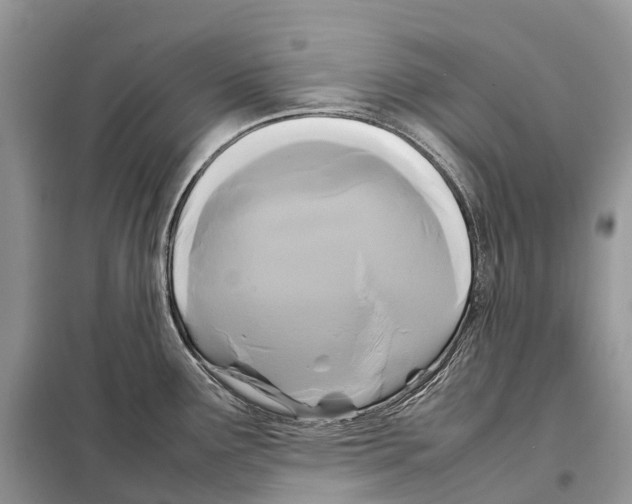 X0000097921291200804111130