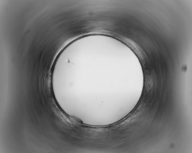 X0000097921292200804111130