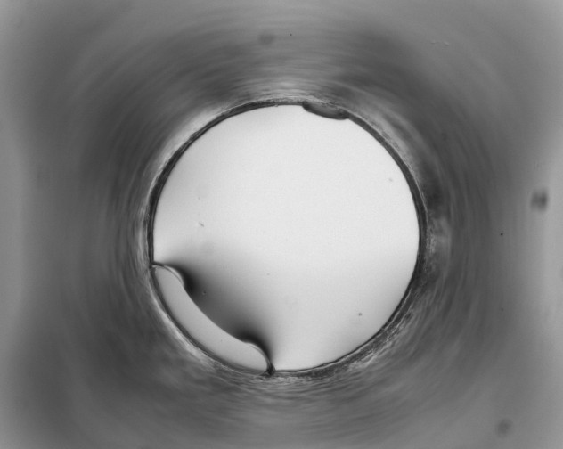 X0000097921293200804111130