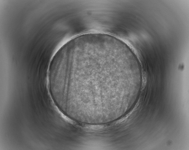 X0000097921294200804111130