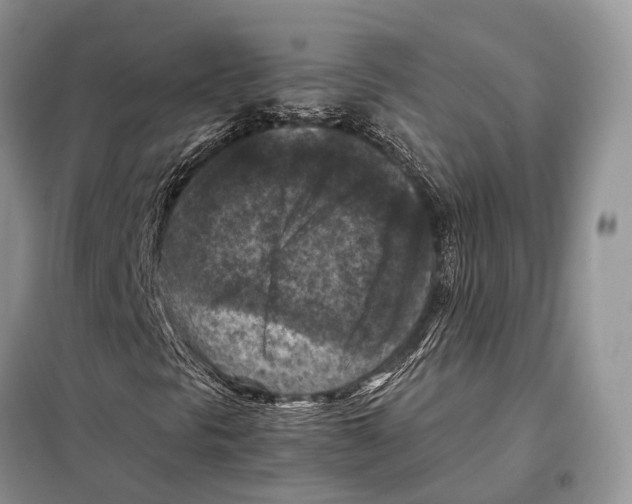 X0000097921297200804111129