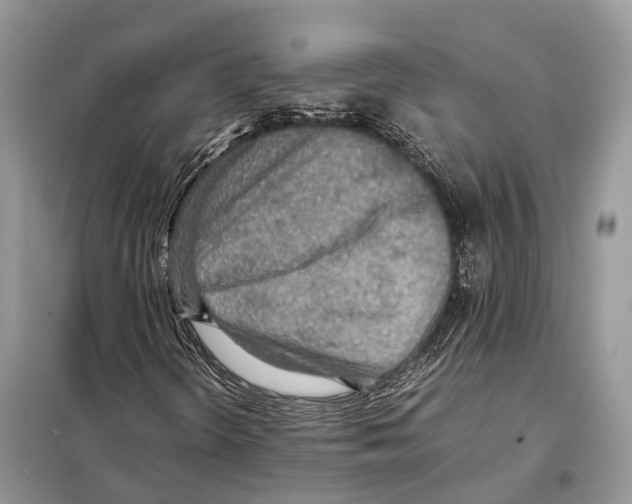 X0000097921298200804111129