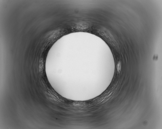 X0000097921299200804111129