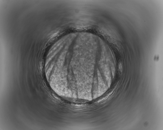 X0000097921300200804111129