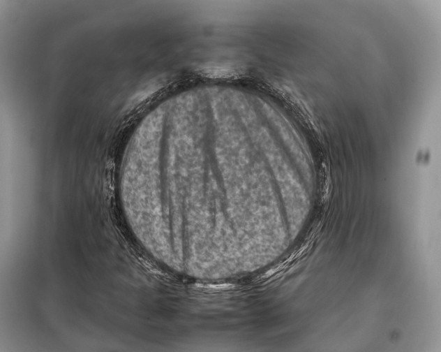 X0000097921301200804111129