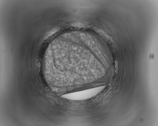 X0000097921302200804111129