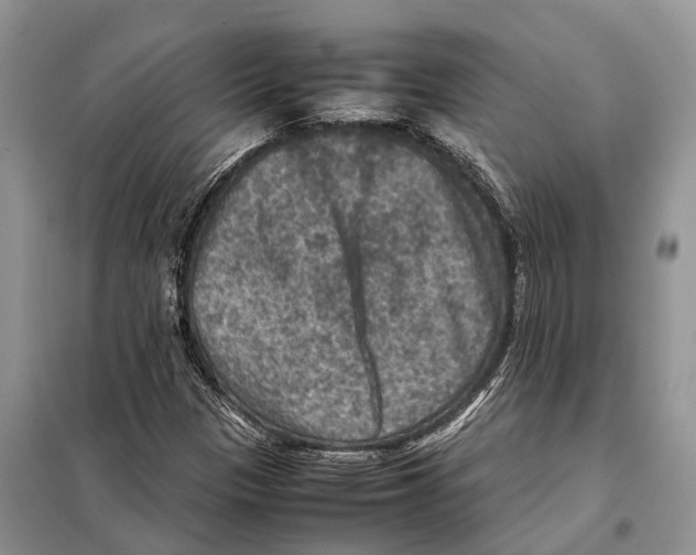 X0000097921305200804111129