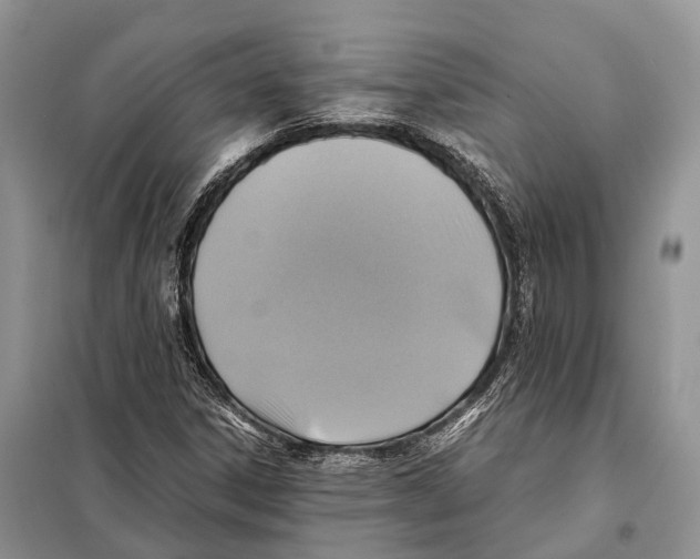 X0000097921306200804111129