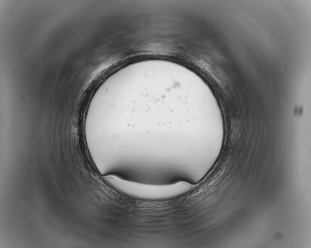 X0000097921307200804111129