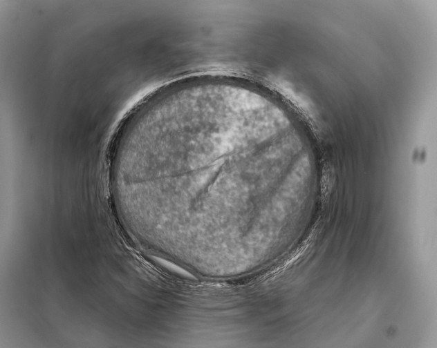 X0000097921310200804111129