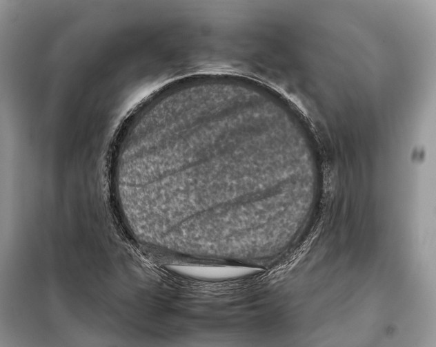 X0000097921311200804111129