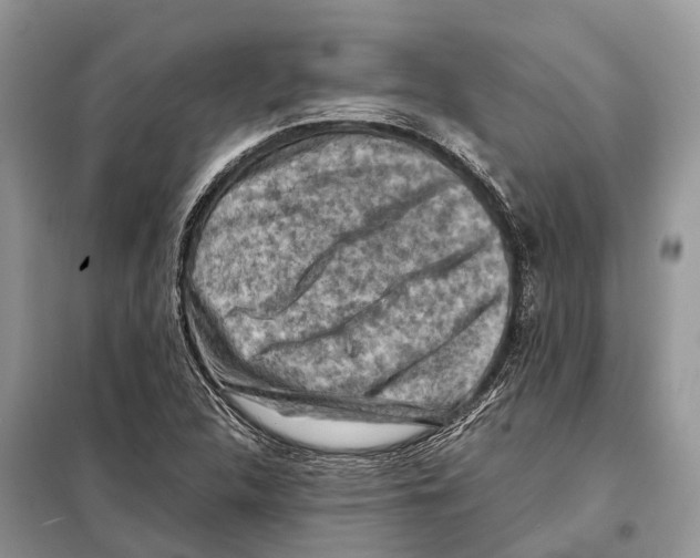 X0000097921312200804111129