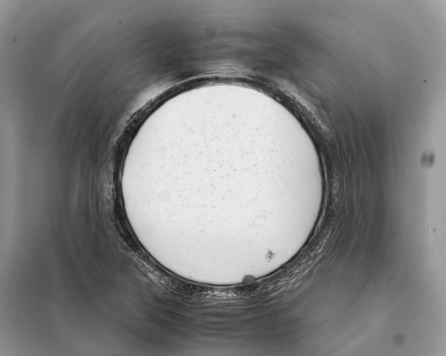 X0000097921315200804111129